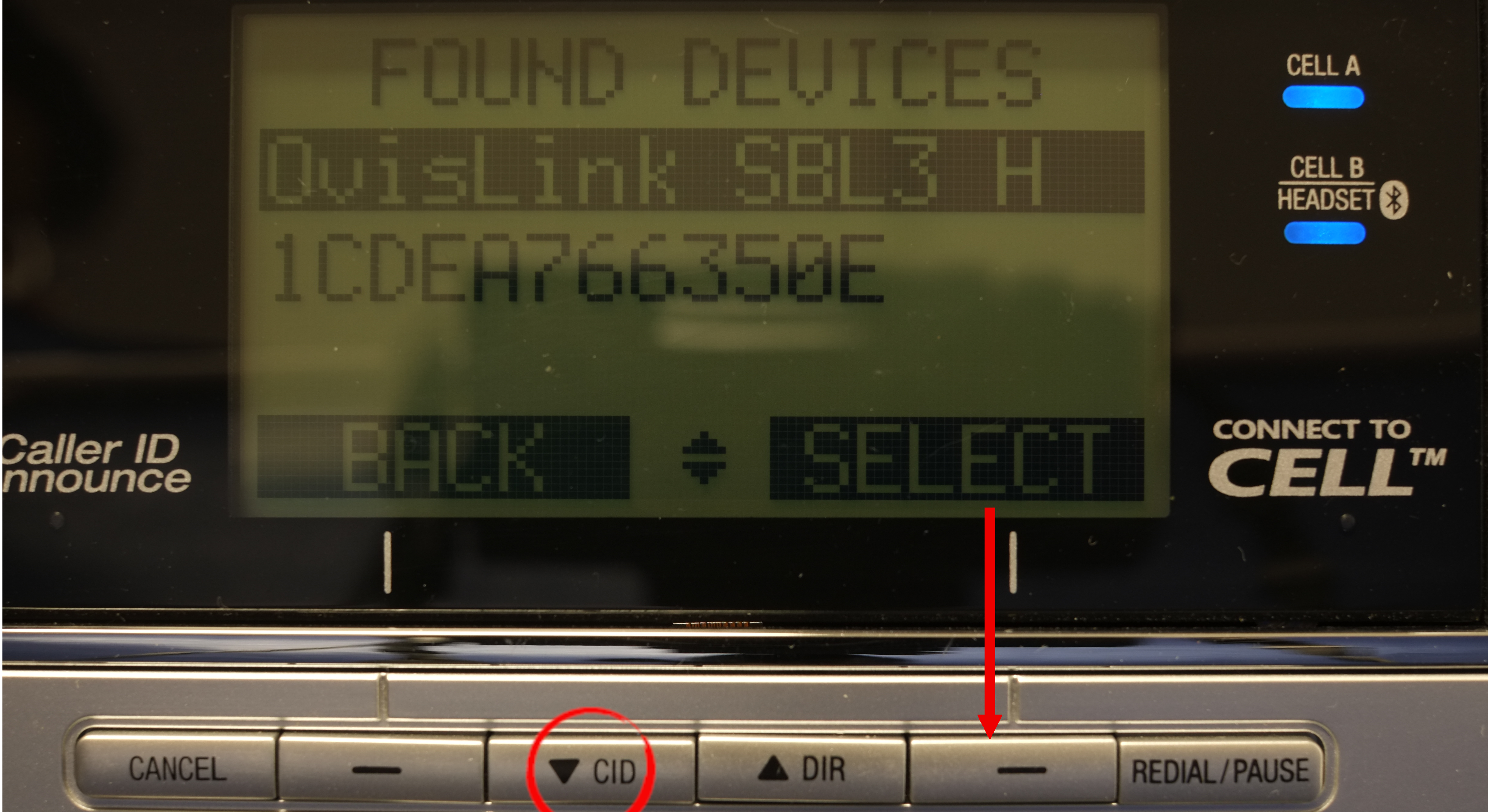 Select OvisLink headst