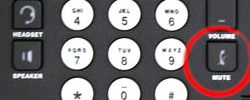 Avaya 9608 9611 phone Headset Mute Button