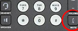 Avaya 9621 9641 phone headset mute button